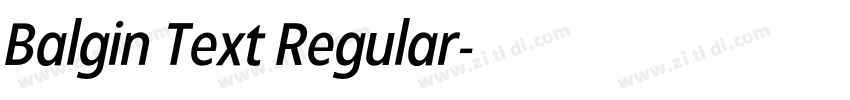 Balgin Text Regular字体转换 Balgin Text Regular字体转换